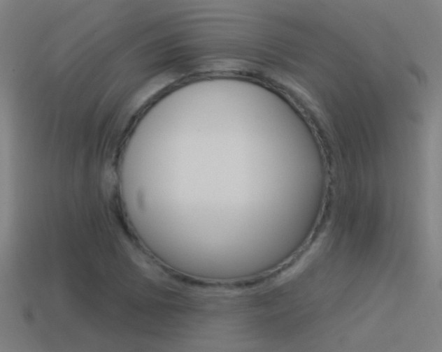 X0000114511073200910190924
