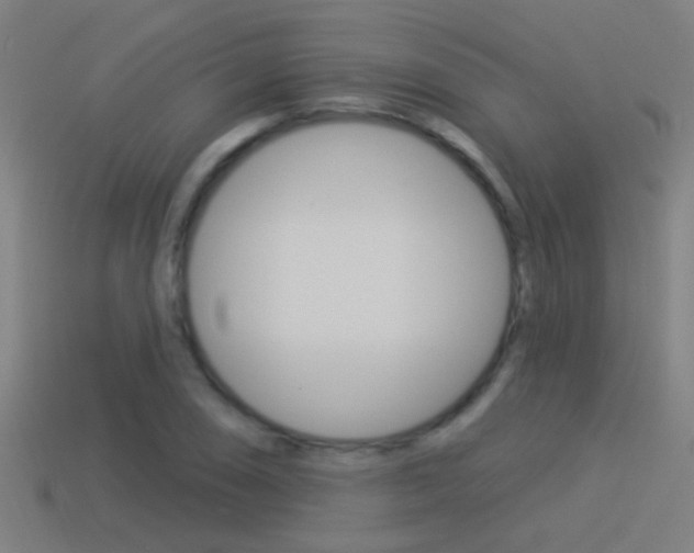 X0000114511074200910190924