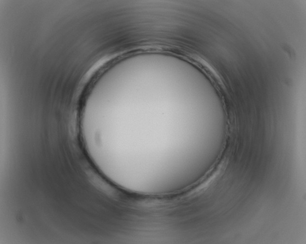 X0000114511075200910190924