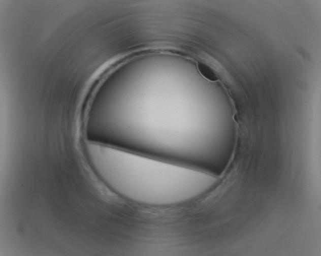 X0000114511076200910190924