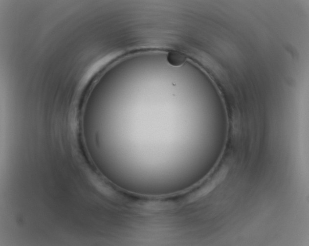 X0000114511077200910190924