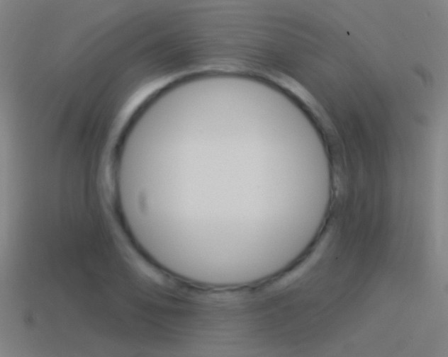 X0000114511078200910190924