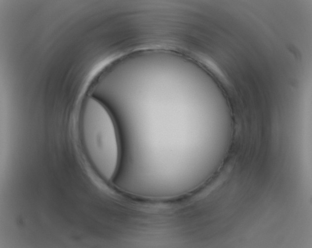 X0000114511079200910190924