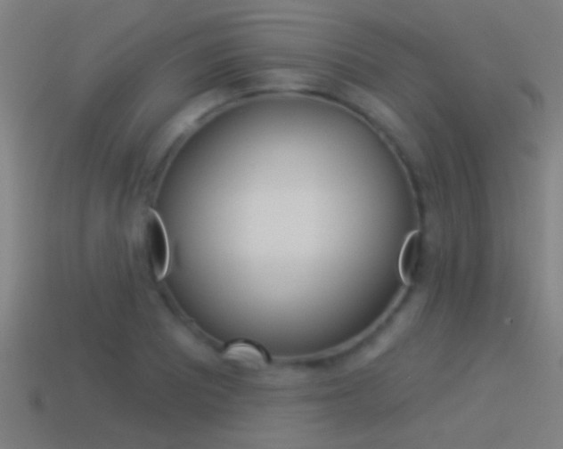 X0000114511081200910190924