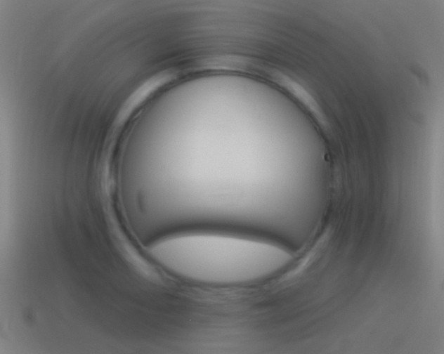 X0000114511082200910190924