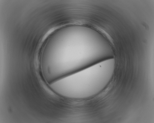 X0000114511083200910190924