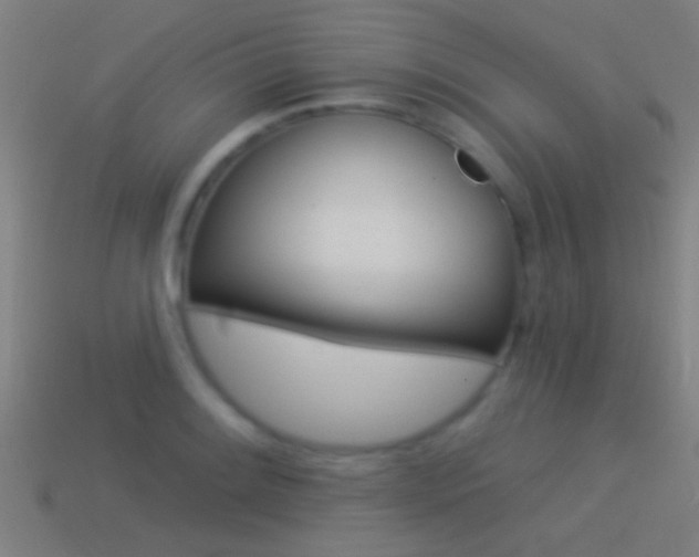 X0000114511084200910190924