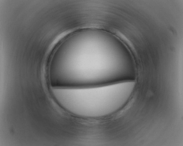 X0000114511085200910190924