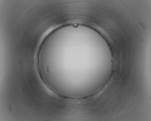 X0000114511086200910190924
