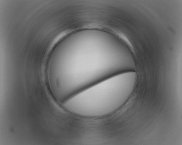 X0000114511087200910190924