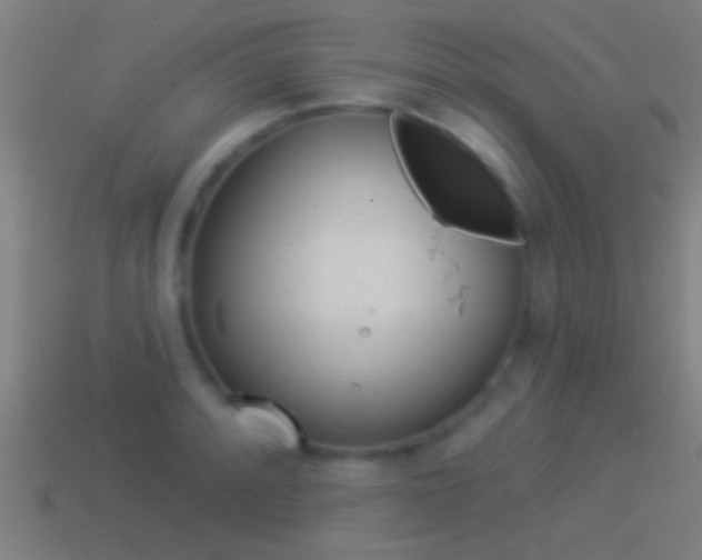 X0000114511088200910190924