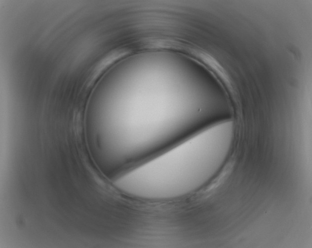 X0000114511089200910190924