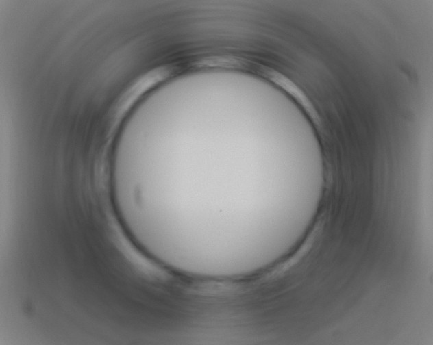 X0000114511090200910190924