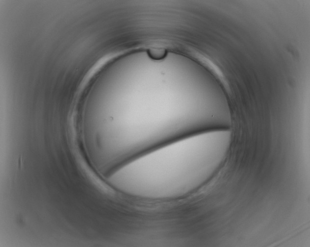 X0000114511091200910190924