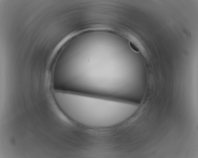 X0000114511092200910190924