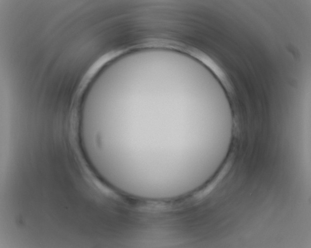 X0000114511094200910190924