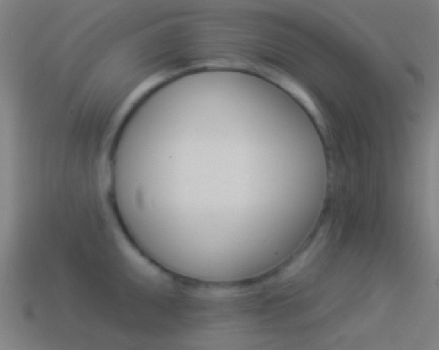 X0000114511095200910190924