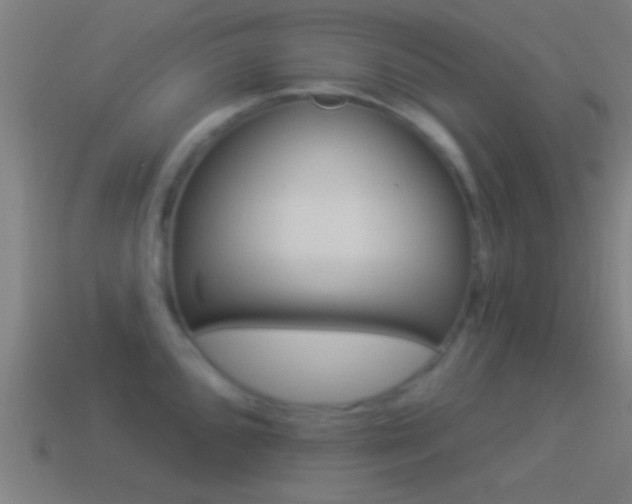X0000114511096200910190924