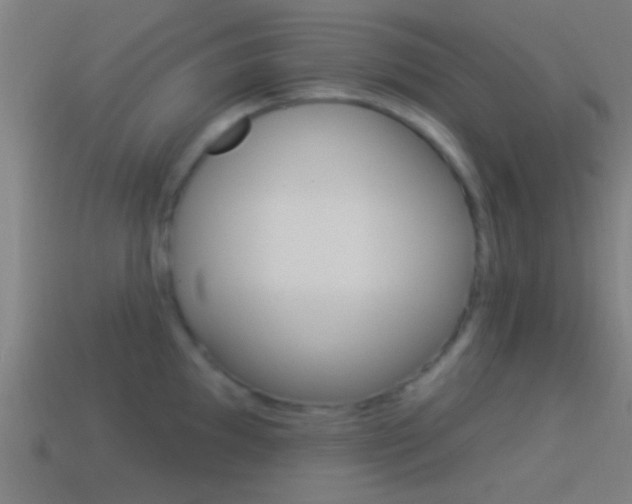 X0000114511097200910190924