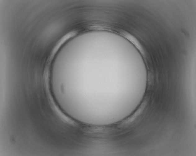 X0000114511098200910190924