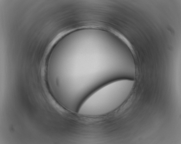 X0000114511099200910190924