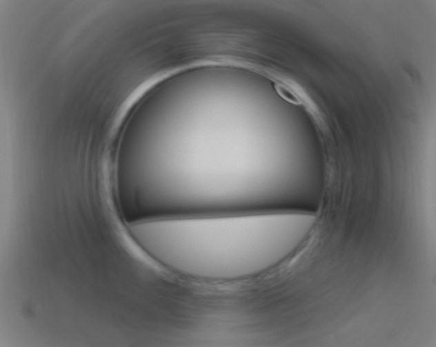 X0000114511100200910190924