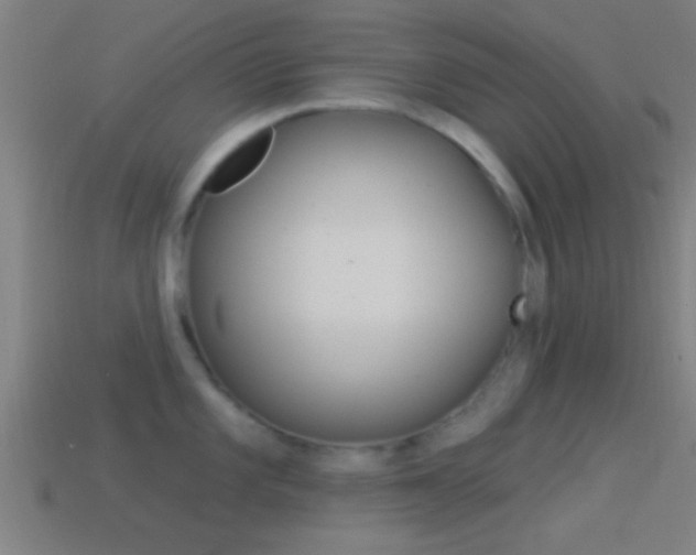 X0000114511101200910190924