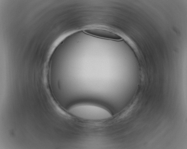X0000114511102200910190924