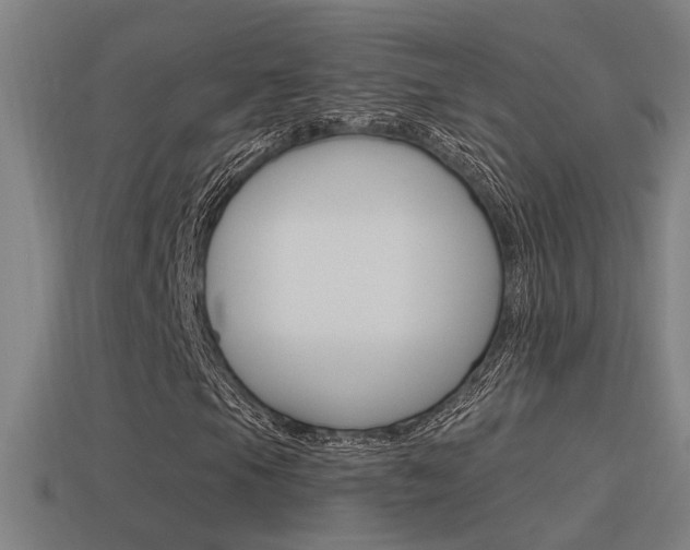 X0000114511105200910190923
