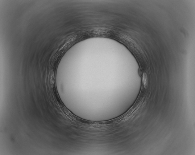 X0000114511107200910190923