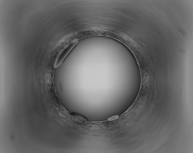 X0000114511110200910190923