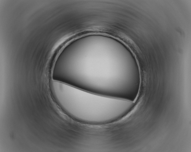 X0000114511114200910190923