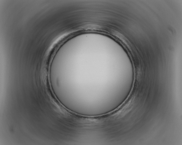 X0000114511115200910190923