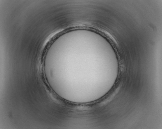 X0000114511117200910190923
