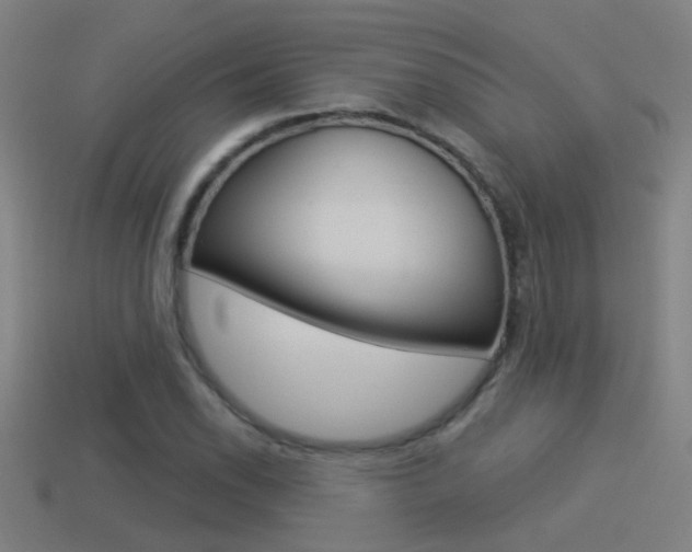 X0000114511118200910190923