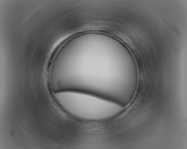 X0000114511119200910190923