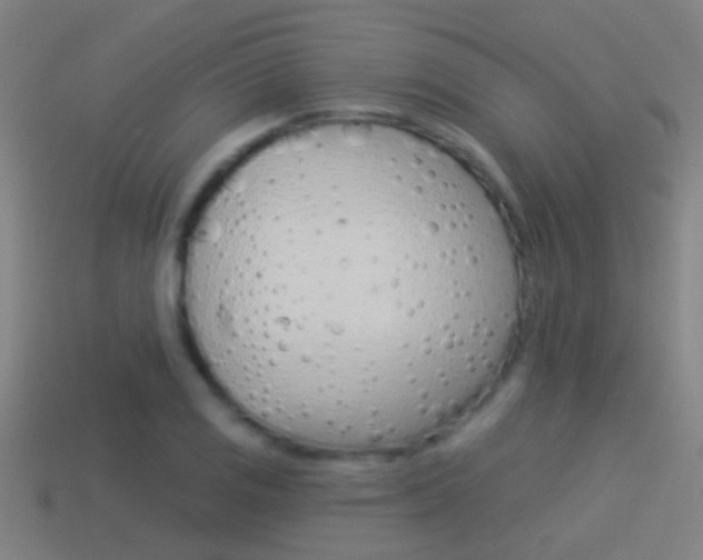 X0000114511125200910190923