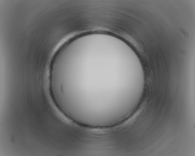 X0000114511126200910190923