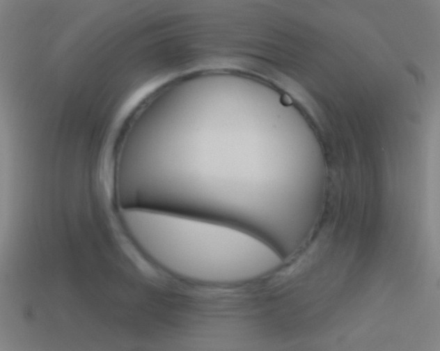 X0000114511127200910190923