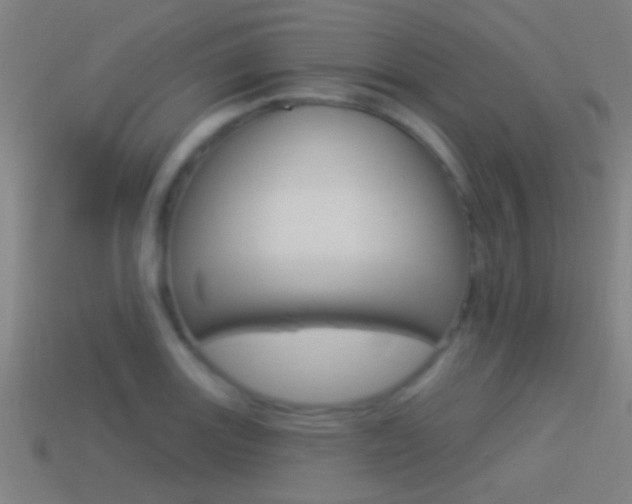 X0000114511131200910190923