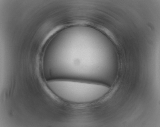 X0000114511134200910190923