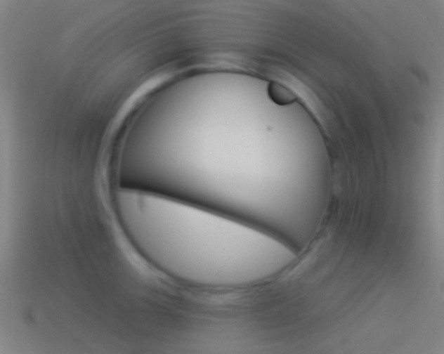 X0000114511139200910190924