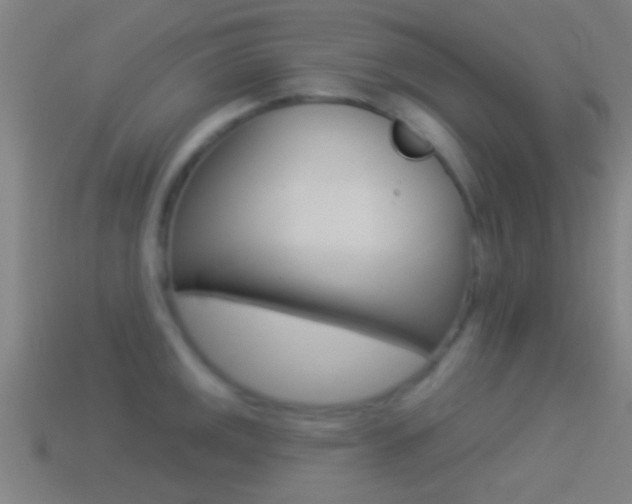 X0000114511141200910190924