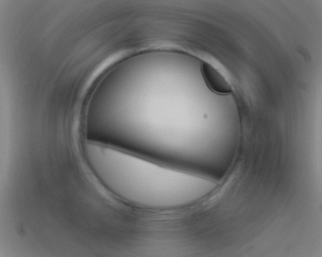 X0000114511142200910190924