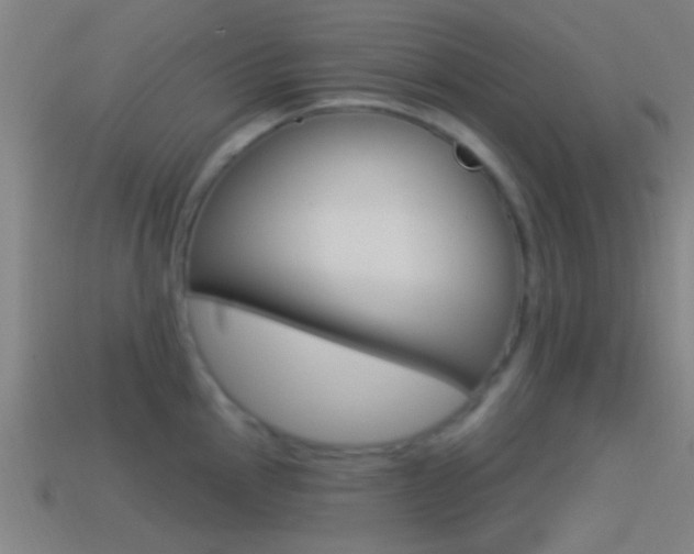 X0000114511145200910190924