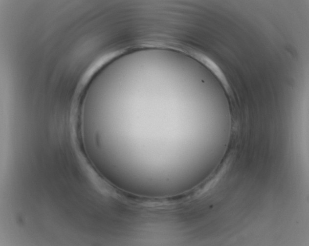 X0000114511146200910190924