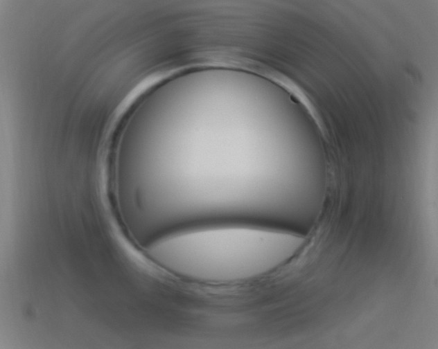 X0000114511147200910190924