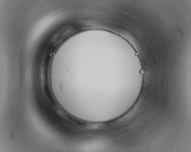 X0000114511150200910190924