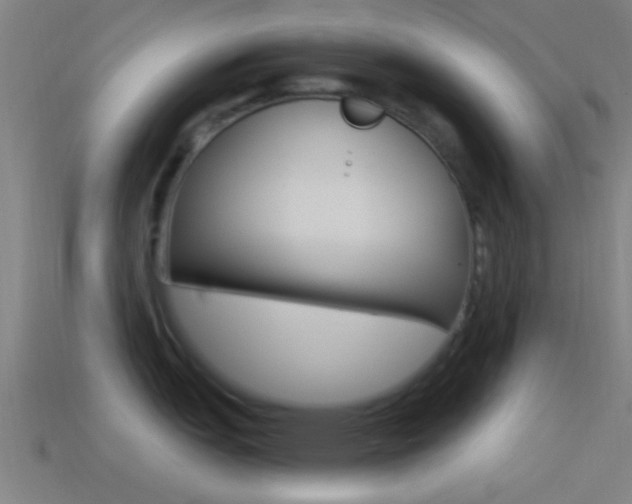 X0000114511151200910190924