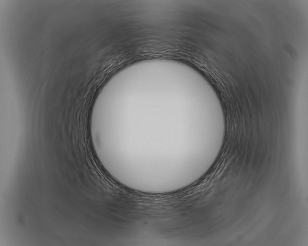 X0000114511153200910190923